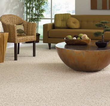Wall to Wall Carpeting Haverford PA 19041